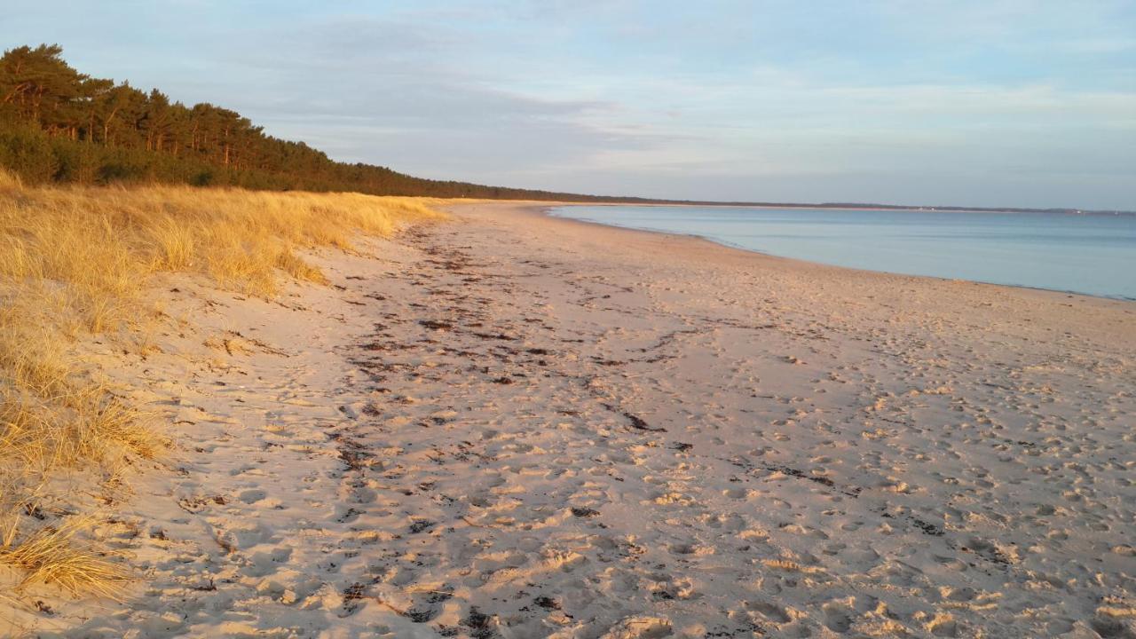 Ostseehaus Odin Doppelhaushaelfte Wiek auf Rügen Εξωτερικό φωτογραφία