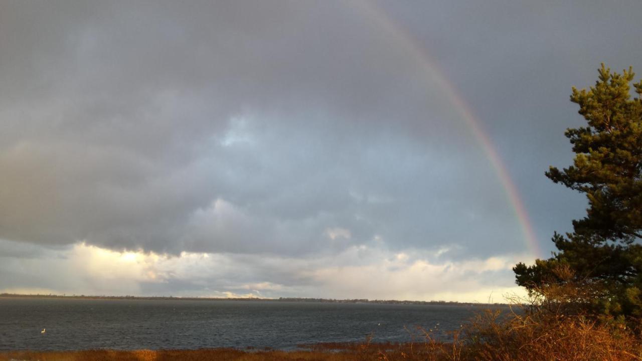 Ostseehaus Odin Doppelhaushaelfte Wiek auf Rügen Εξωτερικό φωτογραφία